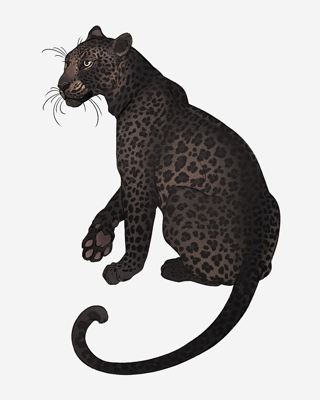 animal animal_ears animal_focus closed_mouth from_behind from_side full_body highres leopard leopard_ears leopard_tail looking_afar no_humans norapotwora original pawpads simple_background tail white_background