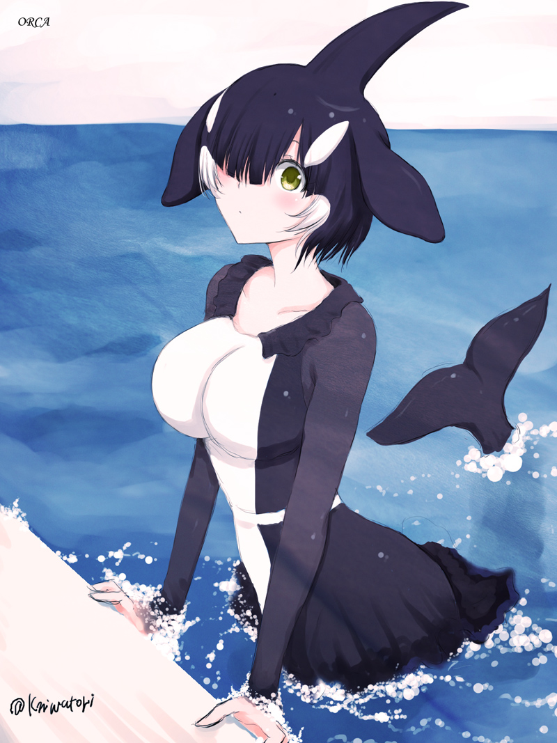 1girl artist_name black_hair blush cetacean_tail collarbone commentary_request dress female_focus fins fish_tail frilled_dress frills hair_over_one_eye head_fins in_water kemono_friends long_sleeves looking_at_viewer multicolored_hair niwatori_kokezou orca_(kemono_friends) short_hair solo tail two-tone_hair water white_hair yellow_eyes