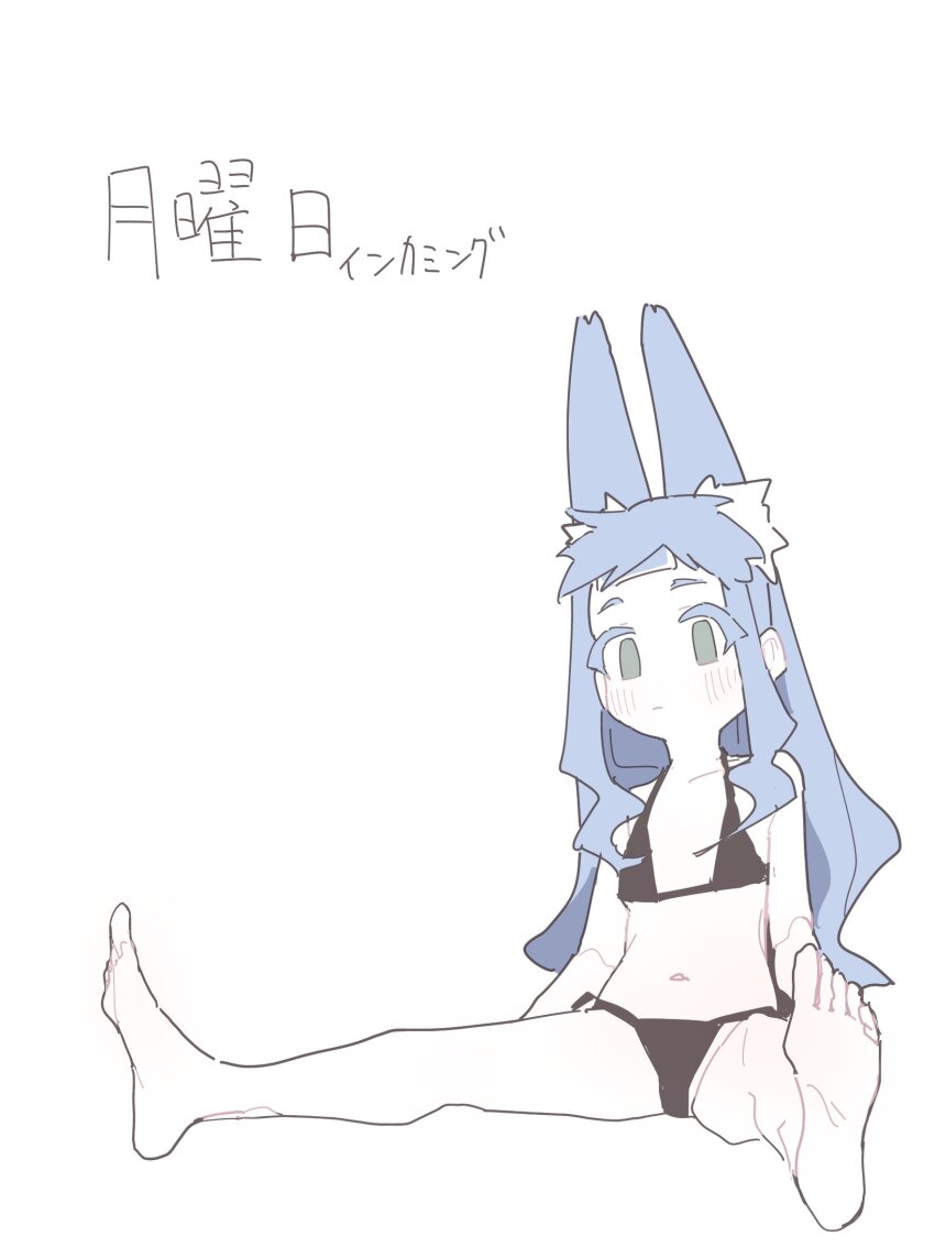 1girl animal_ear_fluff animal_ears bikini black_bikini blue_hair cold_pack feet fox_ears fox_girl green_eyes highres koyansuee koyansuee-chan long_hair navel original side-tie_bikini_bottom sidelocks simple_background sitting spot_color spread_legs swimsuit white_background