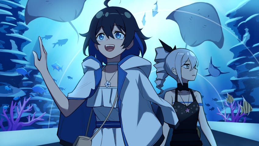 aquarium aquarium_tunnel bag bare_shoulders black_hair black_shirt black_shorts blue_eyes blue_hair bow breasts bright_pupils bronya_zaychik cleavage coral dress drill_hair fish grey_eyes grey_hair hair_between_eyes hair_bow highres honkai_(series) honkai_impact_3rd jacket jewelry kelp long_hair multicolored_hair open_mouth pendant ponytail rock seele_vollerei shark shirt short_hair shorts shoulder_bag small_breasts smile stingray sunlight white_dress white_jacket yellow_bag yukizawa_xueze