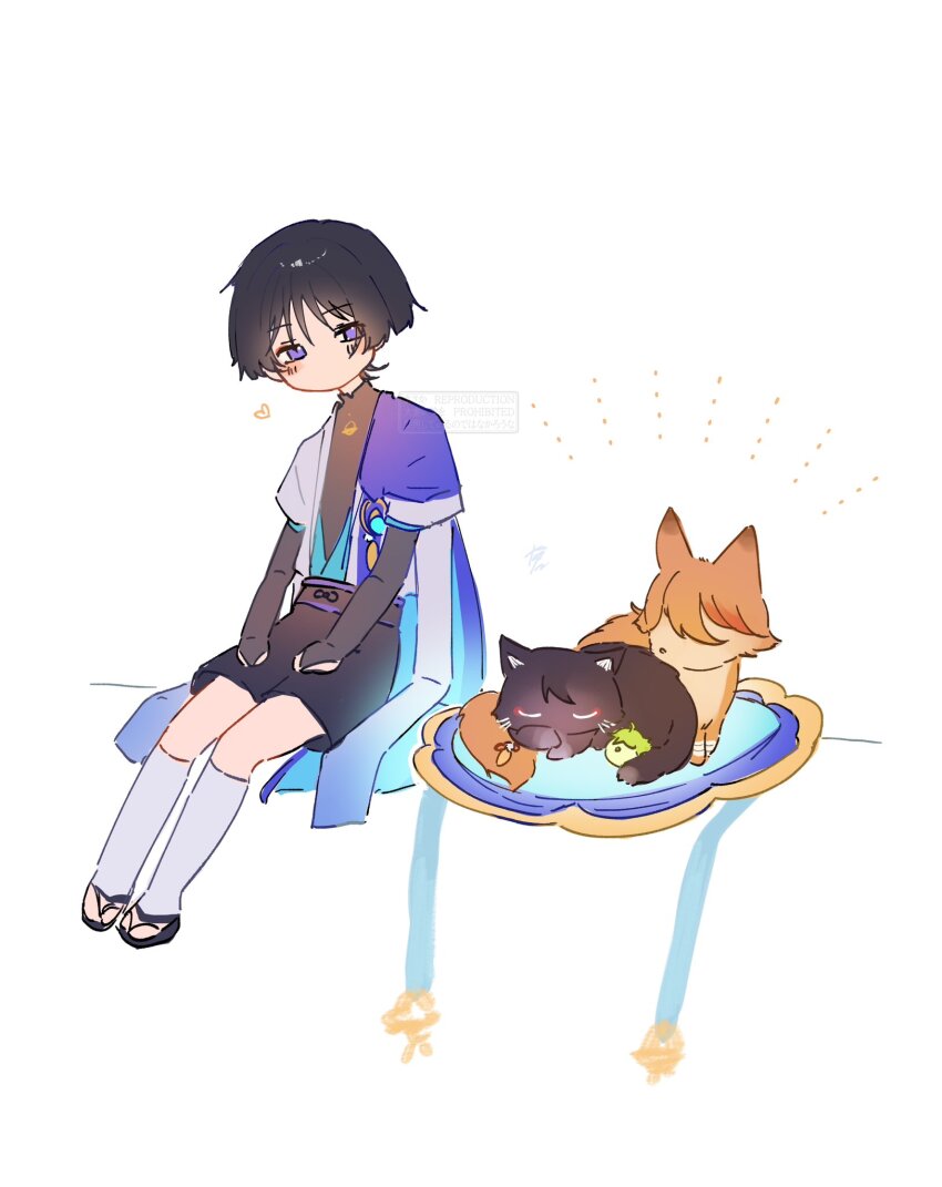 1boy animalization belt bird black_belt black_bodysuit black_bow black_bridal_gauntlets black_cat black_hair black_sandals black_shorts blue_gemstone blue_kimono blue_sleeves blunt_ends blush bodysuit bow bridal_gauntlets cape cat eyeliner eyeshadow feathers fox full_body furisode gem genshin_impact gold hands_on_own_thighs hat heart highres japanese_clothes jingasa juban kimono layered_sleeves leg_warmers looking_at_animal looking_down makeup male_focus mandarin_collar nero_hanken niwa_(genshin_impact) no_mouth open_clothes open_kimono person_and_animalization pom_pom_(clothes) purple_cape purple_eyes purple_hat purple_sash red_eyeliner red_eyeshadow sandals sash scaramouche&#039;s_sickly_friend_(genshin_impact) scaramouche_(cat)_(genshin_impact) scaramouche_(genshin_impact) short_sleeves shorts sitting sketch unworn_hat unworn_headwear vision_(genshin_impact) wanderer_(genshin_impact) white_background white_kimono white_leg_warmers white_sleeves wispy_bangs yellow_feathers zouri