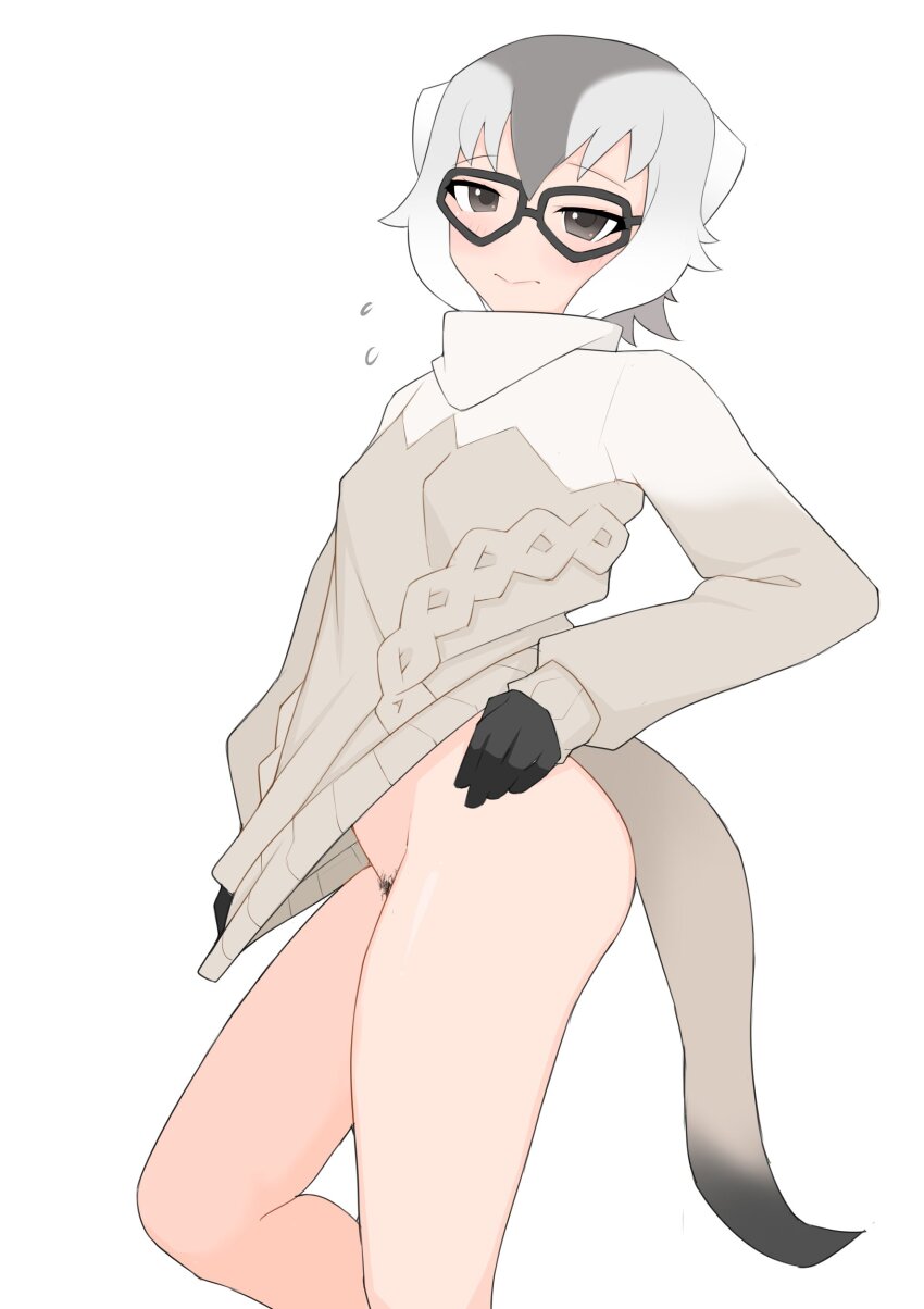 1girl absurdres black-framed_eyewear black_gloves blush bottomless cable_knit closed_mouth commentary_request feet_out_of_frame female_pubic_hair glasses gloves grey_eyes grey_hair grey_pubic_hair grey_sweater highres illu_(illu_stratos) kemono_friends long_sleeves looking_at_viewer meerkat_(kemono_friends) meerkat_ears meerkat_tail multicolored_hair pubic_hair simple_background smile solo standing sweater two-tone_hair white_background
