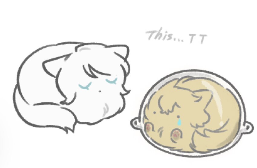 animal_focus animalization cat cat_loaf crying faust_(project_moon) highres limbus_company no_humans ohzv photo-referenced project_moon short_hair simple_background sinclair_(project_moon) white_background white_fur white_hair yellow_fur