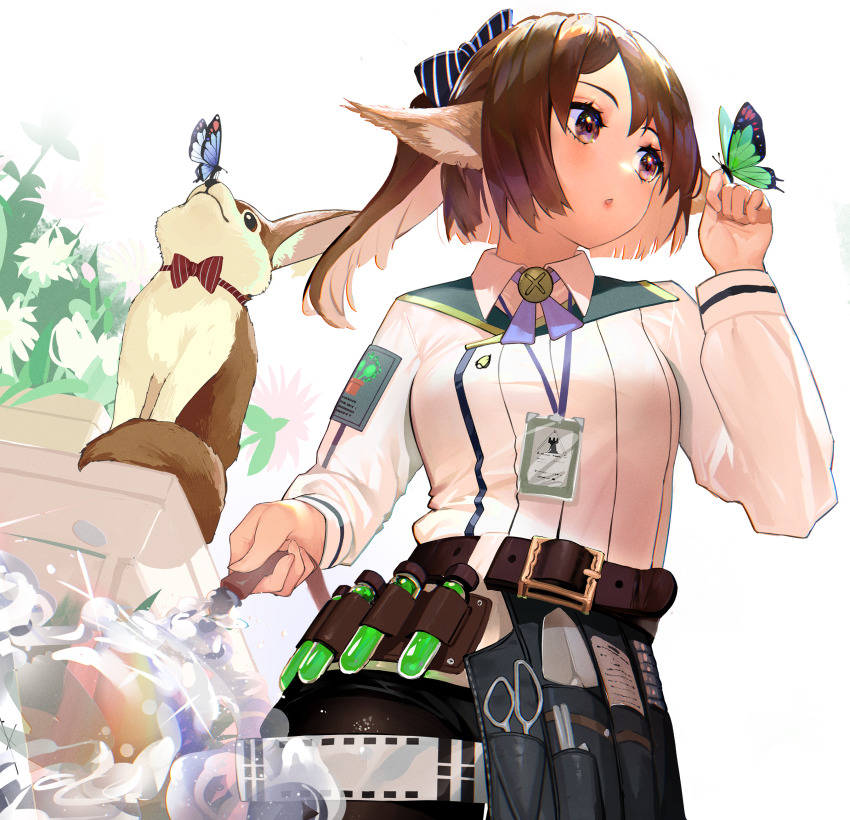 024th 1girl absurdres animal animal_ears arknights belt black_bow blue_butterfly bow brown_belt brown_eyes brown_hair brown_pantyhose bug butterfly butterfly_on_hand commentary flower fox fox_ears green_butterfly hair_bow hand_up highres holding holding_hose hose insect long_hair long_sleeves looking_at_animal official_alternate_costume pantyhose parted_lips perfumer_(arknights) perfumer_(species_plantarum)_(arknights) ponytail red_bow scissors shirt simple_background solo striped_bow vial water white_background white_flower white_shirt