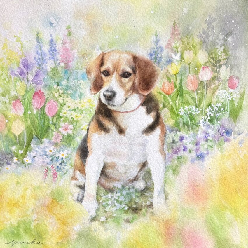 all_fours animal_focus blue_flower blurry blurry_background dog flower grass highres looking_at_viewer no_humans ooy33151086 original painting_(medium) pink_flower purple_flower too_many_flowers traditional_media watercolor_(medium)