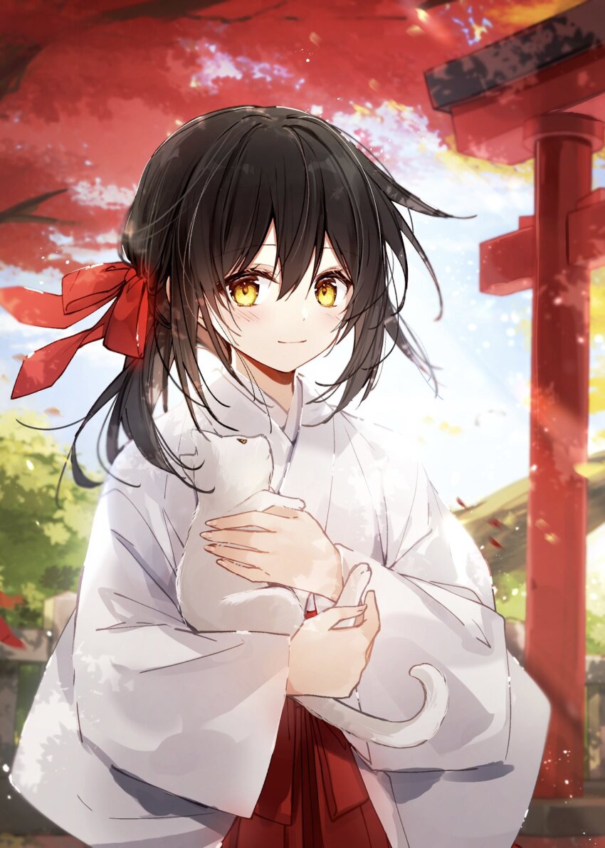 1girl animal animal_hug black_hair blue_sky blush bow branch cat closed_mouth commentary_request day hair_between_eyes hair_bow hakama highres japanese_clothes kimono long_hair long_sleeves looking_at_viewer miko mochizuki_shiina original outdoors red_bow red_hakama sky smile solo torii white_cat white_kimono wide_sleeves yellow_eyes