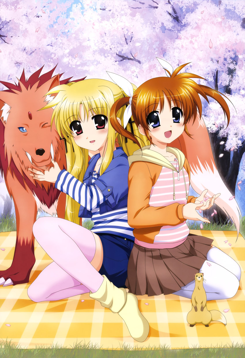 2girls absurdres arf blonde_hair blue_eyes brown_hair casual cherry_blossoms fangs fate_testarossa feet ferret forehead_jewel highres long_hair lyrical_nanoha multiple_girls no_shoes non-web_source nyantype official_art one_eye_closed petals red_eyes seiza short_twintails sitting takamachi_nanoha thighhighs twintails very_long_hair wolf yuuno_scrya zettai_ryouiki