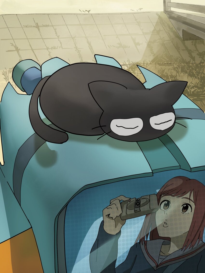 1girl animal black_cat camera canti cat flcl grass highres holding holding_camera lips pink_punk_ponk red_hair reflection robot samejima_mamimi shadow takkun_(flcl)
