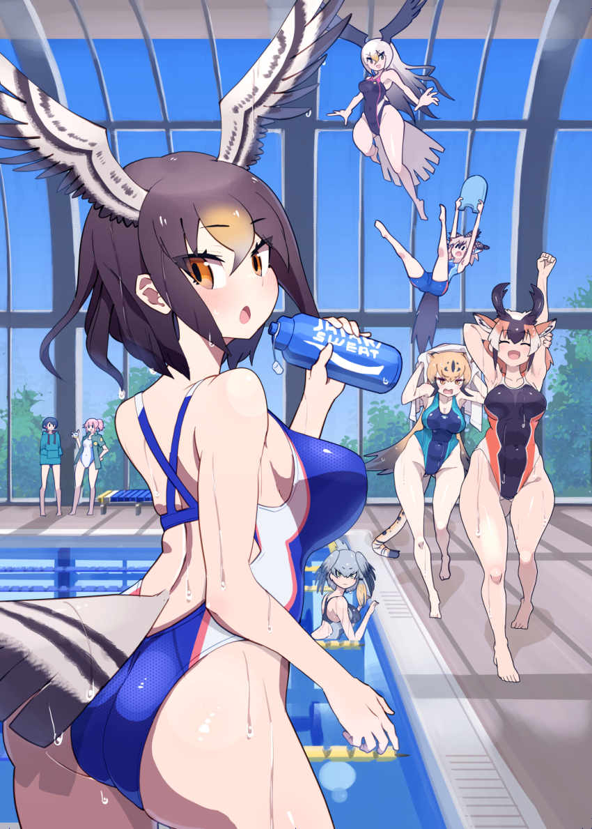 6+girls :d ^_^ animal_ears arm_behind_head armpits arms_up ass bald_eagle_(kemono_friends) bare_arms bare_shoulders bird_girl bird_tail bird_wings black_hair blonde_hair bottle breasts brown_eyes brown_hair captain_(kemono_friends) cheetah_(kemono_friends) cheetah_ears cheetah_tail closed_eyes closed_mouth competition_swimsuit covered_navel day drawstring extra_ears floating gluteal_fold greater_roadrunner_(kemono_friends) green_hair grey_hair groin hair_between_eyes hands_up head_wings high_ponytail highleg highleg_one-piece_swimsuit highres holding holding_bottle holding_stopwatch holding_towel hood hood_down hoodie horns indoors kemono_friends large_breasts legs_up light_brown_hair light_smile long_hair looking_at_another looking_at_viewer looking_back median_furrow medium_hair multicolored_hair multicolored_swimsuit multiple_girls nana_(kemono_friends) nishuu_miri no_pants northern_goshawk_(kemono_friends) one-piece_swimsuit open_mouth parted_bangs partially_submerged pink_hair ponytail pool poolside pronghorn_(kemono_friends) shoebill_(kemono_friends) short_hair side_ponytail sidelocks smile spread_wings standing stopwatch stretching swimsuit tail textless_version towel towel_on_head tsurime very_long_hair walking watch water wet wet_hair wings |_|