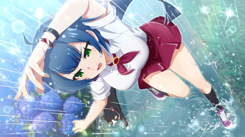 1girl ahoge animal arm_up black_cat black_socks blue_hair blurry bracelet cat collared_shirt depth_of_field dutch_angle flower from_above full_body game_cg glint green_eyes highres higurashi_no_naku_koro_ni higurashi_no_naku_koro_ni_mei hydrangea jewelry kneehighs kurosawa_chisame lens_flare long_hair miniskirt neckerchief non-web_source official_art open_mouth outdoors puddle purple_flower purple_shoes rain red_neckerchief red_skirt ripples running school_uniform shirt shoes short_sleeves skirt socks solo splashing sweatdrop v-shaped_eyebrows water_drop wet wet_hair white_shirt