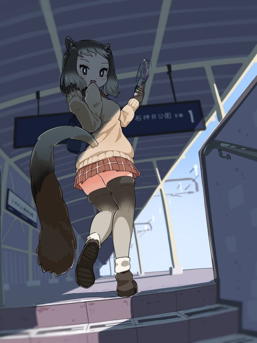 1girl absurdres alpine_marmot_(kemono_friends) animal_ears beige_sweater black_gloves black_hair commentary_request from_below gloves grey_hair grey_thighhighs handheld_electric_fan highres iwa_(iwafish) kemono_friends long_sleeves looking_at_viewer multicolored_hair plaid_clothes plaid_skirt pleated_skirt red_skirt short_hair skirt solo squirrel_ears squirrel_girl squirrel_tail tail thighhighs two-tone_hair zettai_ryouiki