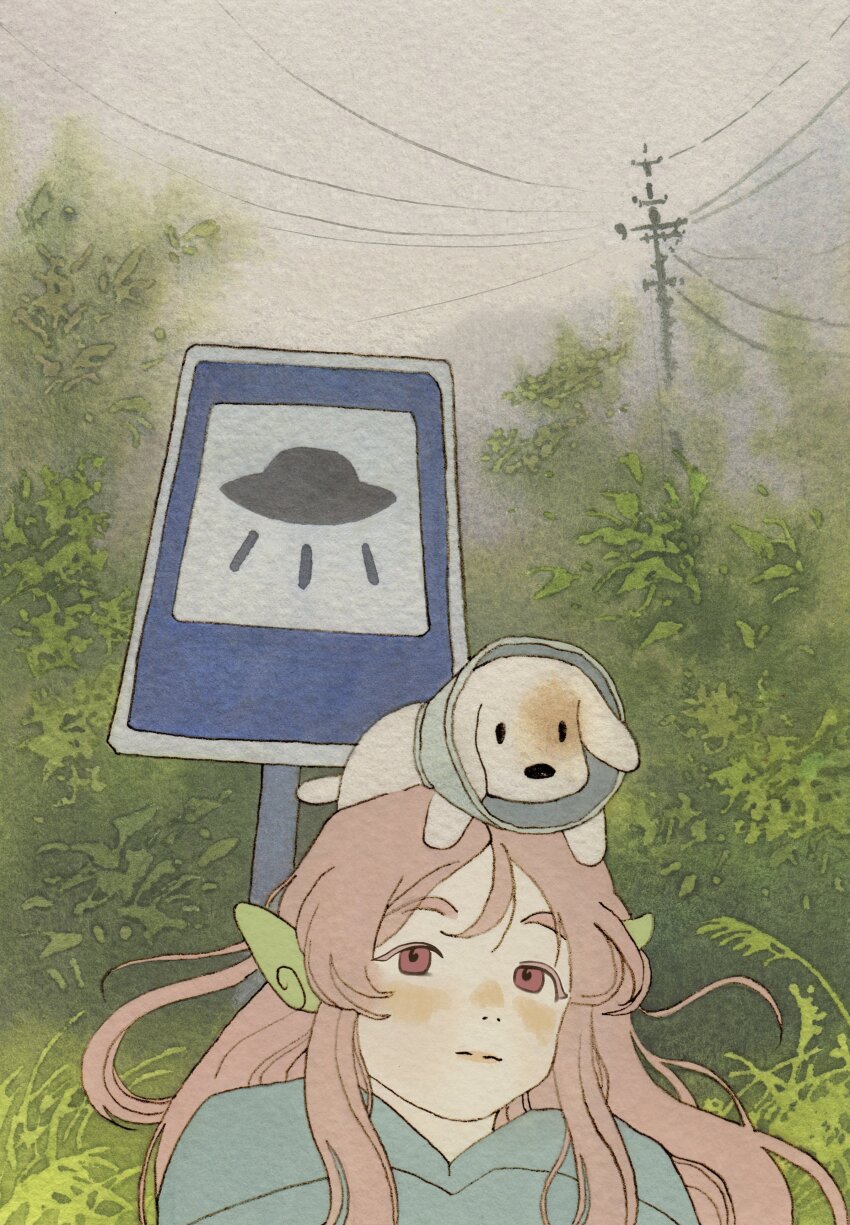 1girl absurdres animal animal_on_head blue_shirt bush commentary_request dog fog foliage grass highres light_blush long_hair looking_at_viewer nature on_head original outdoors pet_cone pink_hair plant pointy_ears portrait power_lines red_eyes road_sign russian_commentary shirt sign sky solid_eyes solid_oval_eyes solo traditional_media tree ufo utility_pole vinsenta