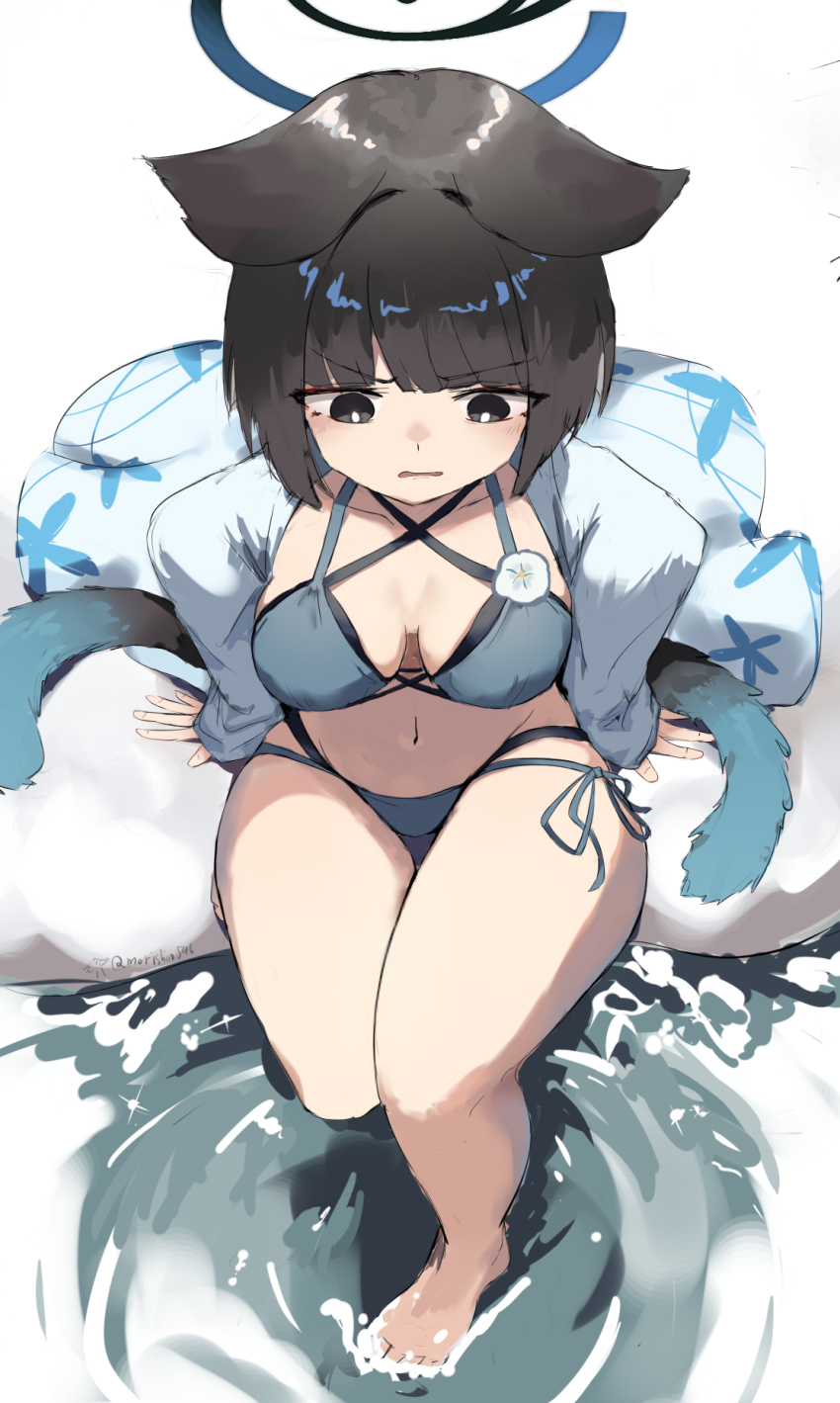 1girl animal_ears barefoot bikini black_eyes black_hair blue_archive blue_bikini breasts cat_ears cat_girl cat_tail cleavage commentary from_above highres kikyou_(blue_archive) kikyou_(swimsuit)_(blue_archive) medium_breasts morishin546 solo swimsuit tail thighs toes water white_background