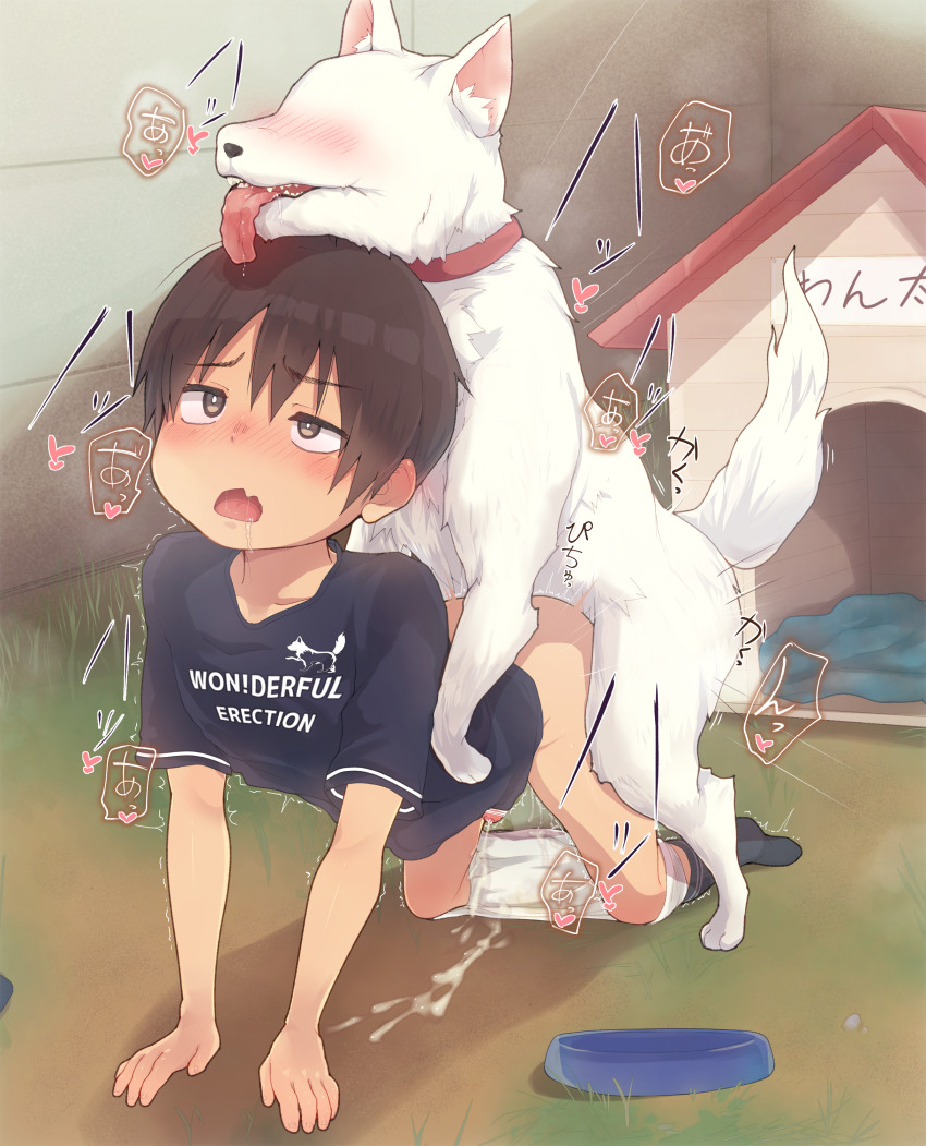 1boy 89usagi absurdres all_fours animal animal_collar backyard bar_censor bestiality black_shirt black_socks blush bowl bright_pupils brown_eyes brown_hair censored clothes_writing collar commentary_request cum day dog doggystyle doghouse ejaculating_while_penetrated ejaculation english_text fang grass handsfree_ejaculation heart highres male_focus male_underwear male_underwear_pull moaning motion_lines name_tag no_eyes no_shoes nose_blush on_grass open_mouth original outdoors paid_reward_available penis pet_bowl pun raised_inner_eyebrows red_collar rolling_eyes rough_sex saliva sex sex_from_behind shirt short_hair short_sleeves shota skin_fang socks sound_effects speed_lines stained_underwear t-shirt tail_raised tongue tongue_out translation_request twitching underwear uneven_eyes very_short_hair white_dog white_male_underwear white_pupils yaoi