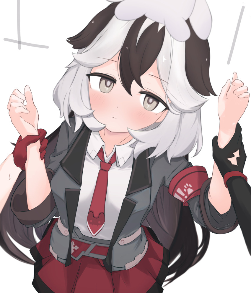 2girls animal animal_ears animal_on_head arm_strap asymmetrical_gloves black_gloves black_hair black_jacket collared_shirt coralie_6626_planck coralie_6626_planck_(puppy_patrol) dog_ears dog_girl erdos_helia erdos_helia_(valkyrie_boltstorm) female_pov gloves grey_eyes grey_hair highres honkai_(series) honkai_impact_3rd jacket long_hair long_sleeves looking_at_viewer mismatched_gloves multicolored_hair multiple_girls necktie on_head pov pov_hands red_gloves red_necktie red_skirt samate shirt simple_background skirt two-tone_hair white_background white_shirt yuri