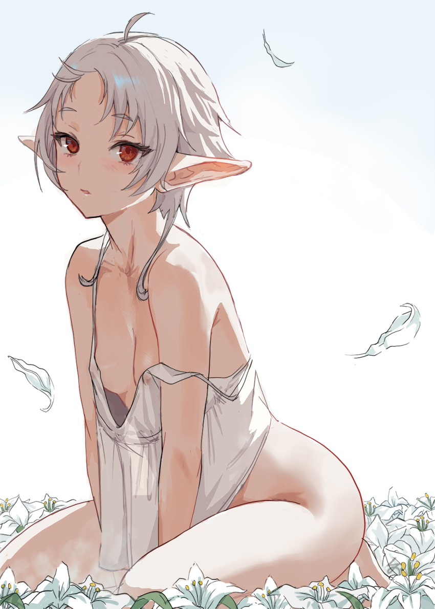 1girl ass bare_shoulders barefoot blue_background breasts camisole collarbone field flower flower_field gradient_background highres kneeling leaning_forward looking_at_viewer mushoku_tensei no_panties pointy_ears red_eyes shirt short_hair simple_background sleeveless small_breasts solo sylphiette_(mushoku_tensei) white_background white_hair white_shirt zefrableu