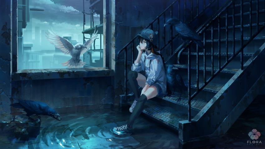 1girl absurdres bird black_hair character_request cloud crack cracked_wall crow feathers flood flying_animal hand_on_own_chin hat highres hood hoodie indoors looking_at_animal looking_at_another moss railing ripples ruins rust shijohane shoes shorts sitting skyline sneakers solo thighhighs vocaloid wading water watermark window