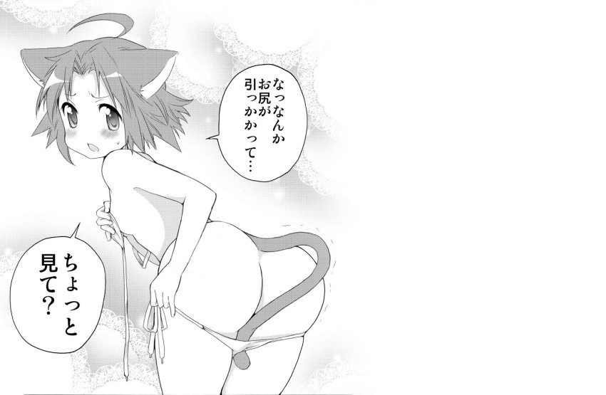 00s 1girl ahoge animal_ears ass bikini bikini_pull blush cat_ears cat_tail clothes_pull female_focus greyscale kogami_akira looking_back lucky_star monochrome open_mouth pulling_own_clothes side-tie_bikini_bottom solo swimsuit tail ubizo untied