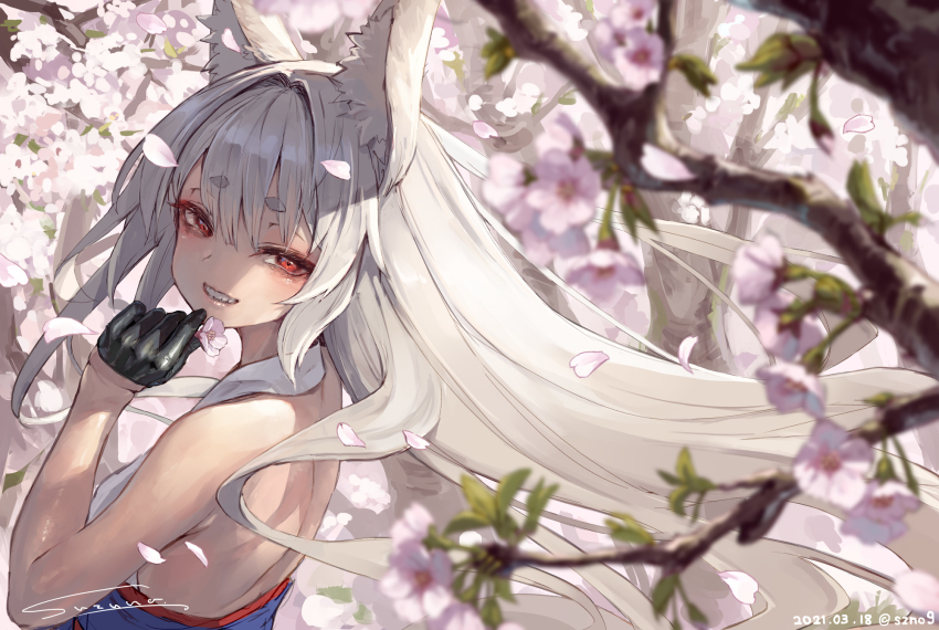 1girl animal_ear_fluff animal_ears bare_shoulders black_gloves cherry_blossoms dated flower gloves half_gloves hand_up highres long_hair looking_at_viewer original petals red_eyes signature smile solo suzuno_(bookshelf) symbol-shaped_pupils thick_eyebrows twitter_username upper_body white_hair