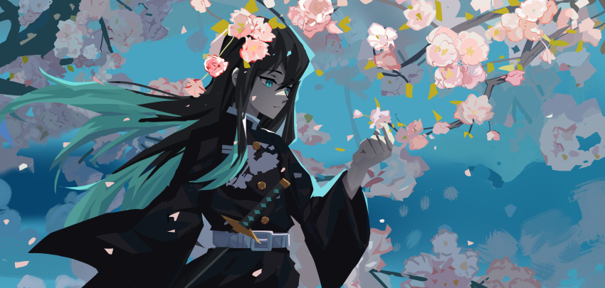 1boy aqua_hair belt black_hair black_hakama blue_eyes cherry_blossoms closed_mouth commentary_request cowboy_shot demon_slayer_uniform expressionless hakama hakama_pants highres japanese_clothes katana kimetsu_no_yaiba long_hair long_sleeves male_focus pants solo sword tokitou_muichirou weapon white_belt zb_relic
