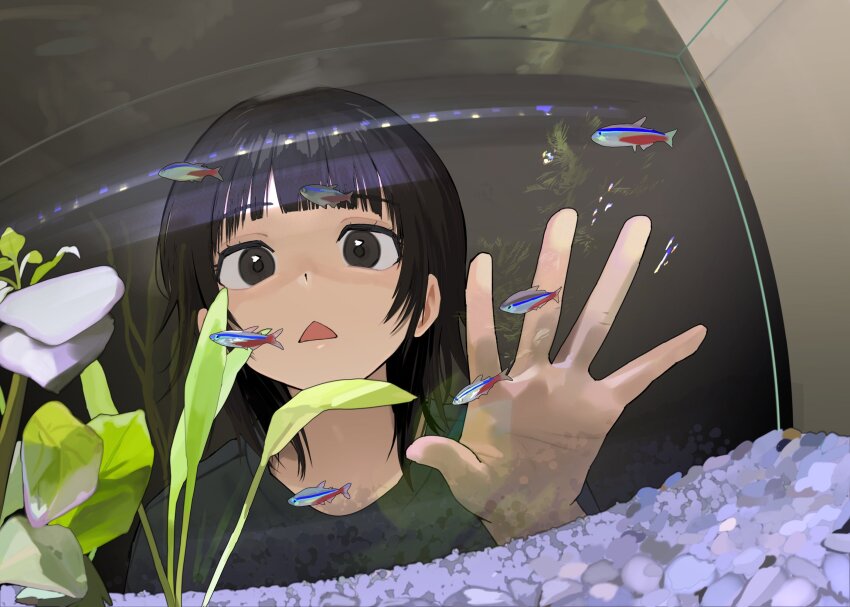 1girl against_glass aquarium black_eyes black_hair blunt_bangs chestnut_mouth eyelashes fish gravel hand_on_glass highres looking_at_animal medium_hair mmmo3 open_mouth original plant solo underwater