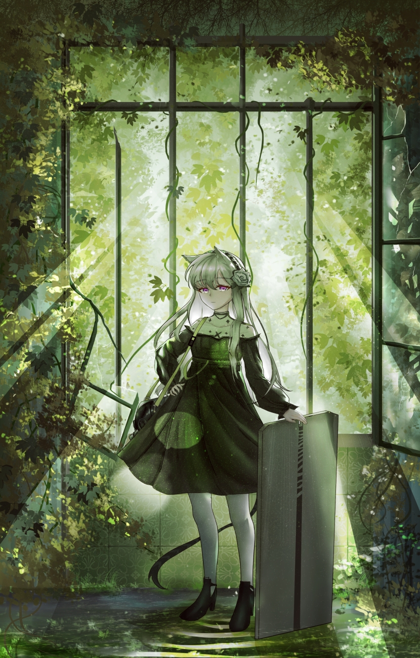 1girl absurdres animal_ears arknights black_dress black_hairband black_tail chinese_commentary closed_mouth commentary_request day dress flower full_body grey_flower grey_hair grey_rose hair_flower hair_ornament hairband hand_on_own_hip heavyrain_(arknights) heavyrain_(tranquil_moss)_(arknights) highres lens_flare light_rays long_hair long_sleeves looking_at_viewer official_alternate_costume orion92617 overgrown pantyhose plant rose shield solo standing sunlight tail white_pantyhose window
