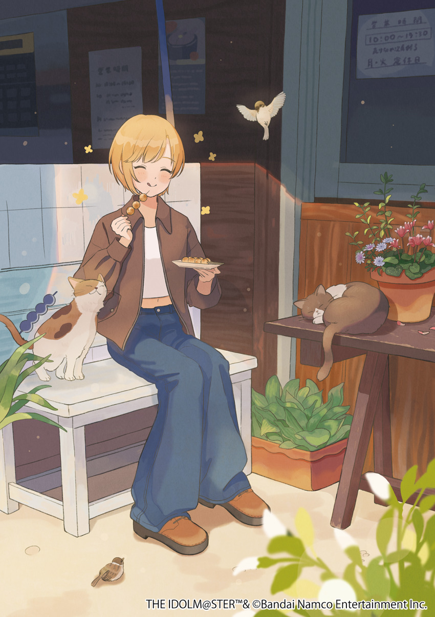 1girl :q aiba_yumi animal bird black_cat blonde_hair blue_pants blush brown_jacket brown_shoes building calico_(pattern) calico_cat cat closed_eyes commentary_request copyright_name copyright_notice dango day door eating flower food fragments_of_the_idolmaster_cinderella_girls full_body fumi_futamori happy_aura highres holding holding_food idolmaster idolmaster_cinderella_girls jacket long_sleeves midriff official_art on_bench outdoors pants plant potted_plant real_world_location saitama_prefecture shirt shoes short_hair sign sitting smile solo sparrow table tongue tongue_out wagashi white_shirt