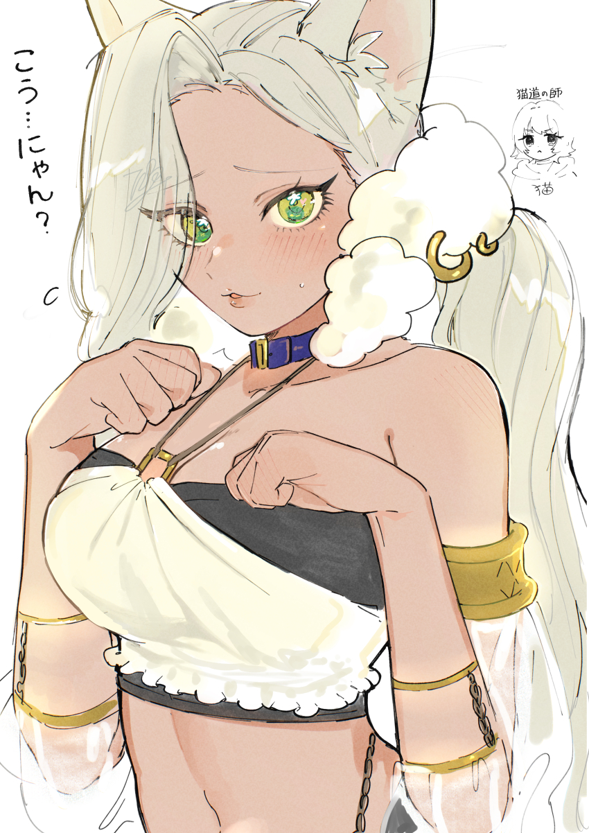 2girls :3 absurdres animal_ear_fluff animal_ears belt_collar breasts cat_ears cleavage collar commentary_request dark-skinned_female dark_skin detached_sleeves female_focus green_eyes grey_hair halterneck hand_blush highres kaho_eira kimi_no_koto_ga_dai_dai_dai_dai_daisuki_na_100-nin_no_kanojo large_breasts light_blush long_hair looking_at_viewer low_ponytail multiple_girls navel nekonari_tama oyomidtarumi parted_lips paw_pose ponytail puffy_detached_sleeves puffy_sleeves see-through_clothes see-through_sleeves solo_focus sweat