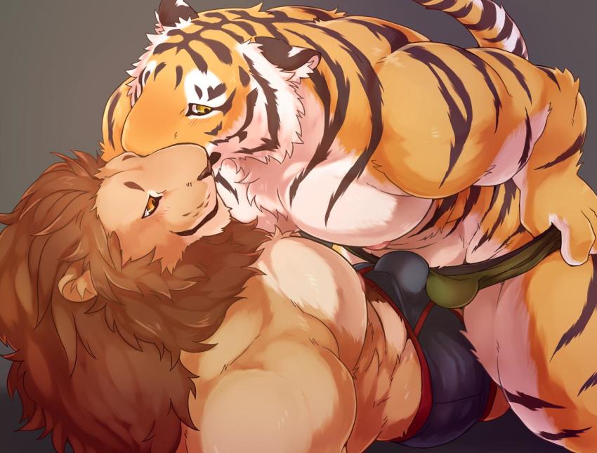 2boys animal_ear_fluff animal_ears bara black_background black_fur blue_male_underwear body_fur boxer brown_fur bulge closed_mouth erection erection_under_clothes feet_out_of_frame furry furry_male furry_with_furry green_male_underwear lion_ears looking_at_another looking_to_the_side male_focus male_underwear mane multiple_boys orange_eyes orange_fur original pulling_own_clothes sitting sitting_on_person tail_raised teru_suzu tiger_boy tiger_stripes underwear white_fur