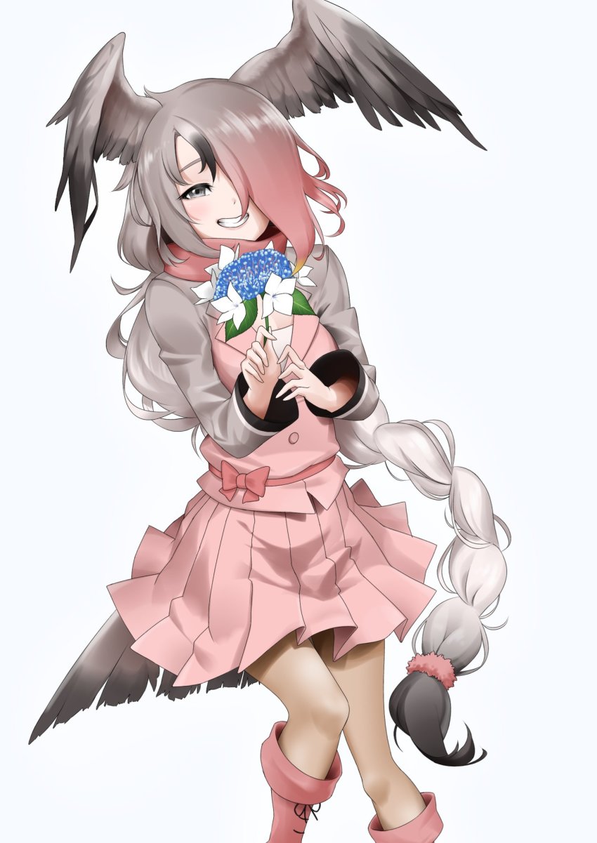 bird_girl bird_tail bird_wings boots flower gradient_clothes gradient_hair gradient_jacket grey_eyes grey_hair grey_jacket grey_pantyhose hair_over_one_eye head_wings highres jacket kemono_friends long_braid long_hair losmal_indicus multicolored_hair multicolored_jacket pantyhose pink-backed_pelican_(kemono_friends) pink_boots pink_hair pink_jacket pink_scarf pink_skirt pleated_skirt scarf skirt tail two-tone_jacket wings