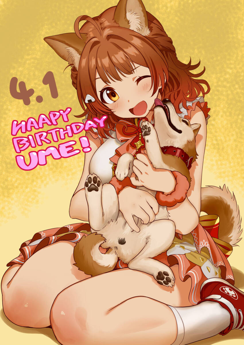 1girl ahoge andou_shuki animal animal_ears animal_hug blush breasts brown_dog brown_eyes brown_hair dog dog_ears dog_girl dog_tail frilled_skirt frills gakuen_idolmaster gradient_hair hair_bun hanami_ume highres holding holding_animal holding_dog idolmaster large_breasts licking licking_another&#039;s_face looking_at_viewer multicolored_hair one_eye_closed open_mouth pink_skirt red_hair shirt shoes single_side_bun sitting skirt sleeveless sleeveless_shirt smile sneakers socks solo tail wariza white_socks
