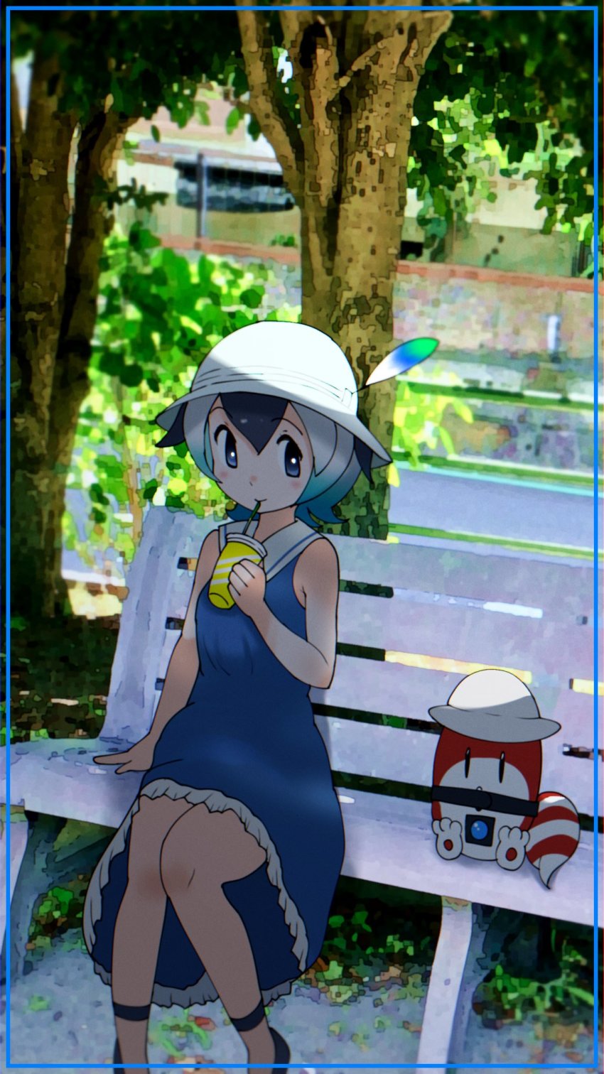 1girl bare_shoulders bench black_footwear black_hair blue_dress blue_eyes blush cats_yone cetacean_tail common_dolphin_(kemono_friends) dolphin_girl dress drink drinking drinking_straw fins fish_tail flats hat_feather helmet highres kemono_friends kemono_friends_3 lucky_beast_(kemono_friends) multicolored_hair pith_helmet sailor_dress short_hair sitting sleeveless solo tail white_hair