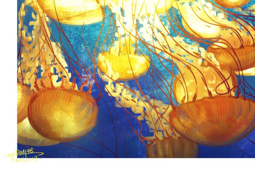 animal_focus border dated jellyfish no_humans original sanshui_guantang signature underwear white_border