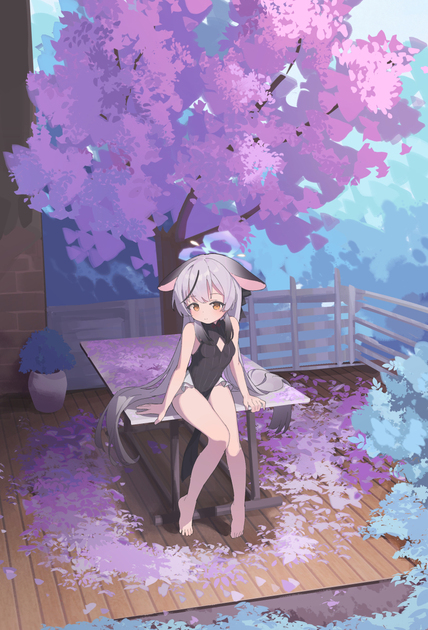 1girl absurdres animal_ears bare_shoulders biluoyao black_dress blue_archive blue_halo breasts cherry_blossoms china_dress chinese_clothes closed_mouth commentary crotch_rub day dress grey_hair halo highres kokona_(blue_archive) long_hair looking_at_viewer masturbation orange_eyes outdoors pelvic_curtain plant potted_plant sitting sleeveless sleeveless_dress small_breasts smile solo table_humping very_long_hair