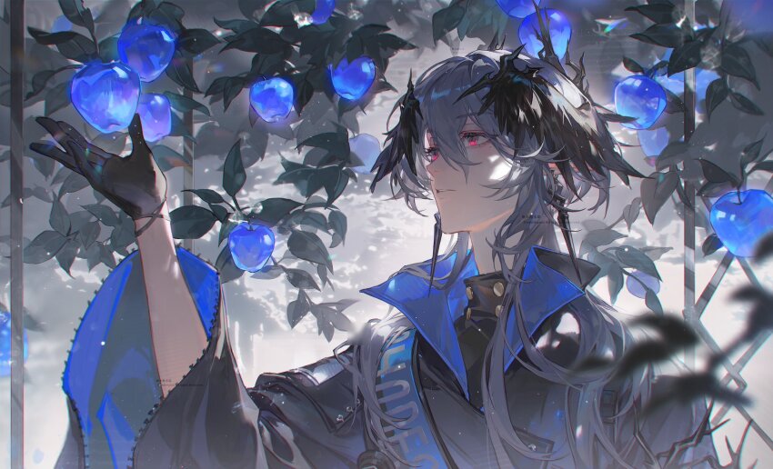 1boy apple arknights black_gloves black_jacket blue_apple collar demon_horns earrings food fruit gloves grey_hair hair_between_eyes head_wings highres horns jacket jewelry leaf logos_(arknights) long_hair male_focus mole mole_under_eye picking_fruit pointy_ears red_eyes smusmuye solo wings