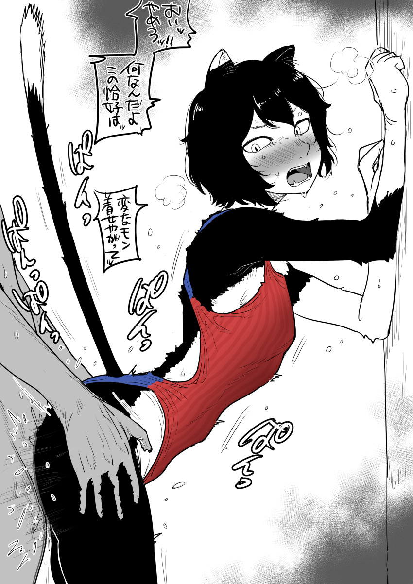 1boy 1girl absurdres against_wall animal_ears blue_one-piece_swimsuit blush breasts cat_ears cat_girl cat_tail clothed_female_nude_male clothed_sex competition_swimsuit doggystyle dungeon_meshi hands_on_another&#039;s_hips hetero highres izutsumi kaiman_garupan multicolored_swimsuit nude one-piece_swimsuit red_one-piece_swimsuit sex sex_from_behind short_hair small_breasts standing swimsuit tail