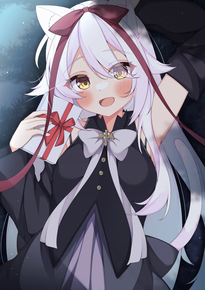 1girl :d absurdres animal_ears arm_up black_dress black_sleeves blush bow cat_ears cat_girl cat_tail commentary_request commission cowboy_shot detached_sleeves double-parted_bangs dress eyelashes eyes_visible_through_hair gift glint hair_between_eyes hair_bow hair_ribbon happy highres holding holding_gift hoshizora_no_memoria long_hair long_ribbon long_sleeves looking_at_viewer mare_s._ephemeral night open_mouth outdoors red_bow red_ribbon ribbon second-party_source sidelighting skeb_commission sleeveless sleeveless_dress smile solo standing tail very_long_hair white_bow white_hair white_ribbon wide_sleeves yellow_eyes yosh1na