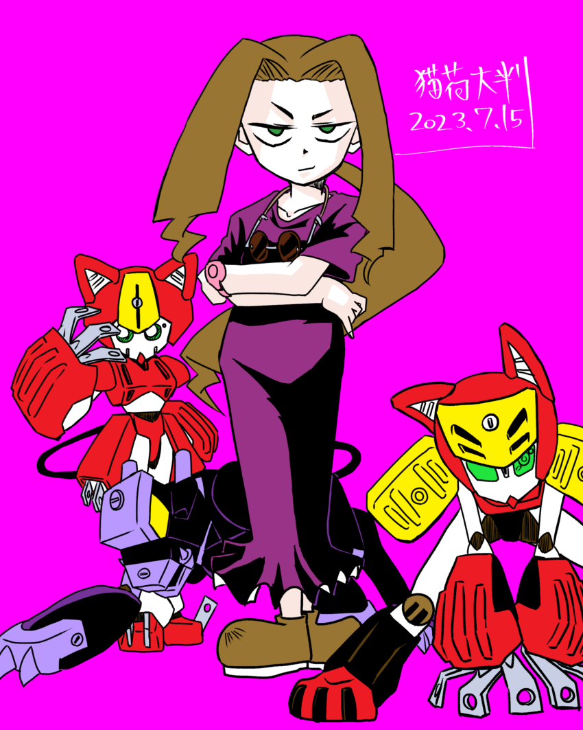 absurdres dress green_eyes highres kikuhime medarot peppercat sunglasses sunglasses_around_neck
