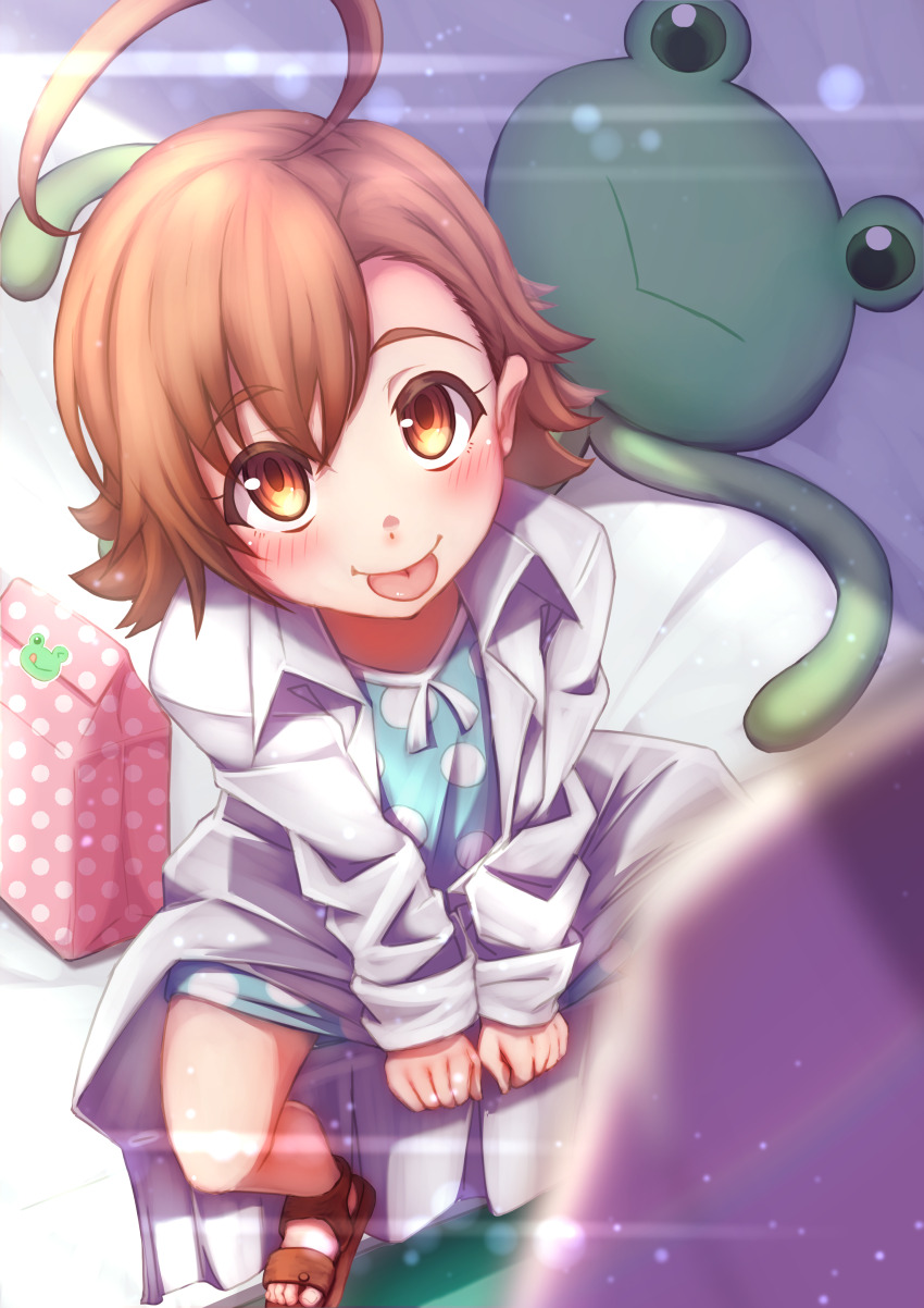 1boy 1girl :p absurdres accelerator_(toaru_majutsu_no_index) ahoge blurry blurry_foreground brown_eyes brown_hair child coat collared_coat commentary_request dress gekota grylls_kuma highres lab_coat last_order_(toaru_majutsu_no_index) open_clothes open_coat polka_dot polka_dot_dress sandals short_hair sitting smile stuffed_animal stuffed_frog stuffed_toy toaru_majutsu_no_index tongue tongue_out white_coat
