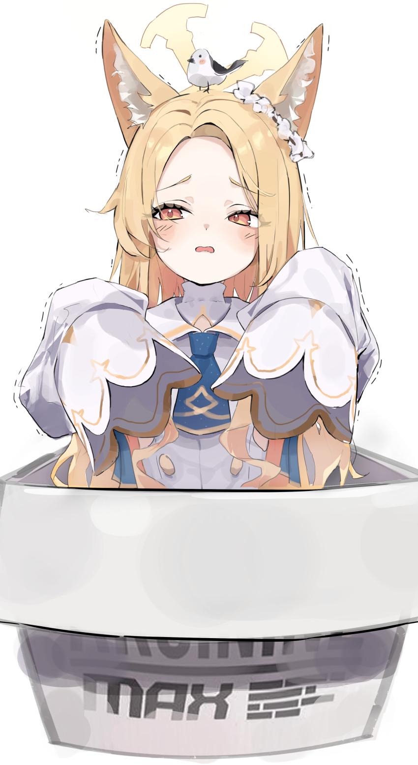 1girl absurdres aid! animal animal_ear_fluff animal_ears animal_on_head bird bird_on_head blue_archive blue_necktie blush box dress forehead fox_ears fox_girl highres in_box in_container long_hair looking_at_viewer looking_to_the_side necktie on_head open_mouth pink_eyes seia_(blue_archive) sidelocks sleeves_past_fingers sleeves_past_wrists solo white_dress