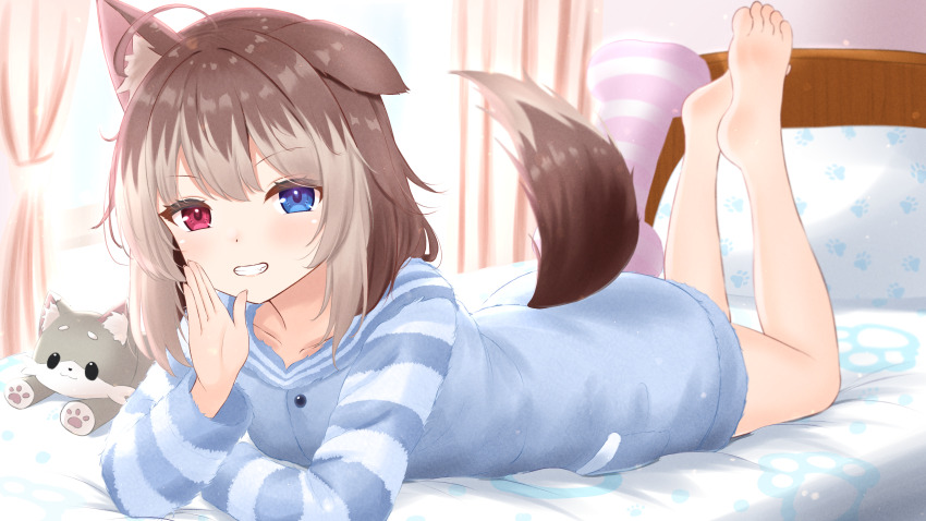 1girl absurdres animal_ear_fluff animal_ears arm_support barefoot bed blue_eyes bone-shaped_pillow brown_hair curtains dog_ears dog_girl dog_tail fluffy_clothes full_body hasuki_rui heterochromia highres hood hood_down hoodie indie_virtual_youtuber indoors long_sleeves looking_at_viewer loungewear lying medium_hair multicolored_hair on_bed on_stomach paashe paw_print pillow red_eyes single_ear_down stuffed_animal stuffed_dog stuffed_toy tail two-tone_hair virtual_youtuber window