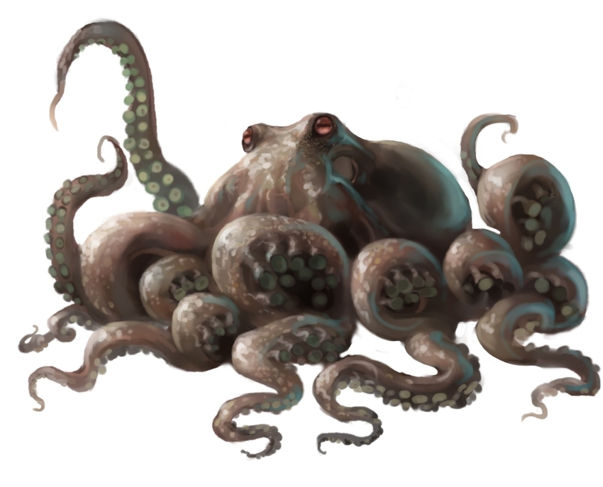 animal crossover full_body giant giant_monster giant_octopus_(godzilla) godzilla_(series) horizontal_pupils kaiju king_kong_(series) king_kong_vs._godzilla monster no_humans octopus sea_monster simple_background tentacles toho ultra-taf white_background
