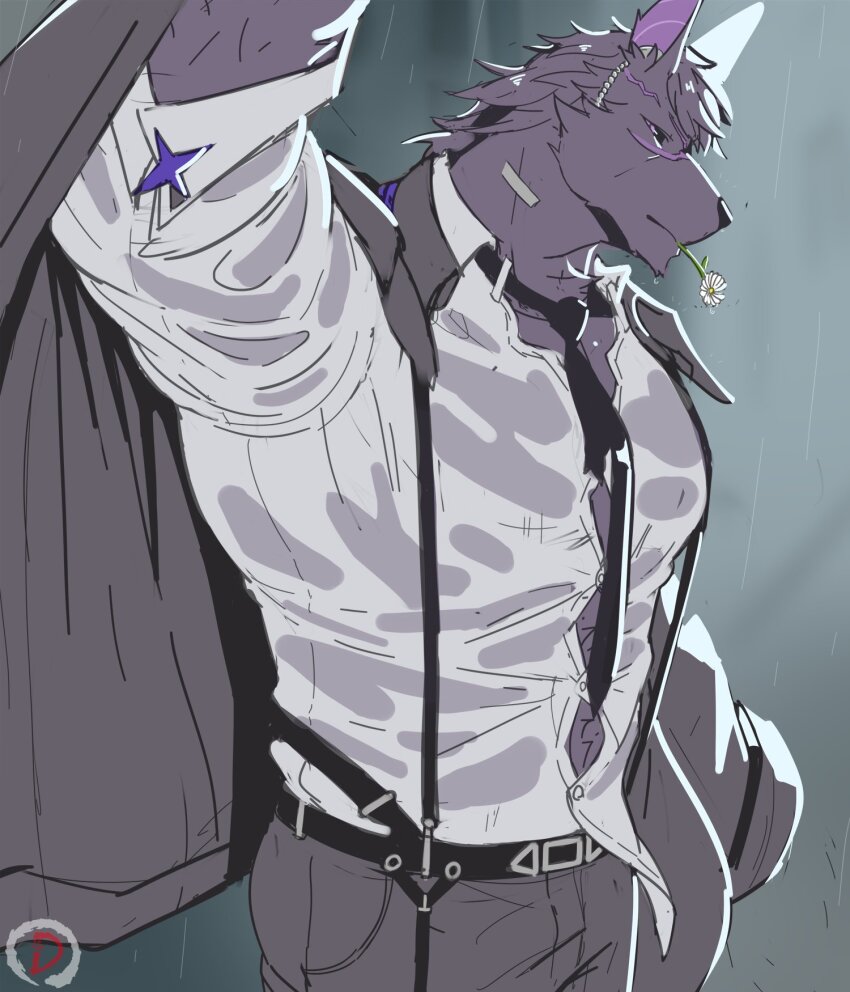 1boy animal_ears bara black_necktie black_sclera chaos_zero_nightmare colored_sclera commentary dingding_art english_commentary flower flower_in_mouth formal_clothes furry furry_male grey_pants grey_suit highres hugo_(chaos_zero_nightmare) looking_at_viewer male_focus muscular muscular_male necktie pants purple_eyes scar scar_on_face shirt suit suspenders wet wet_clothes wet_shirt wolf_boy wolf_ears