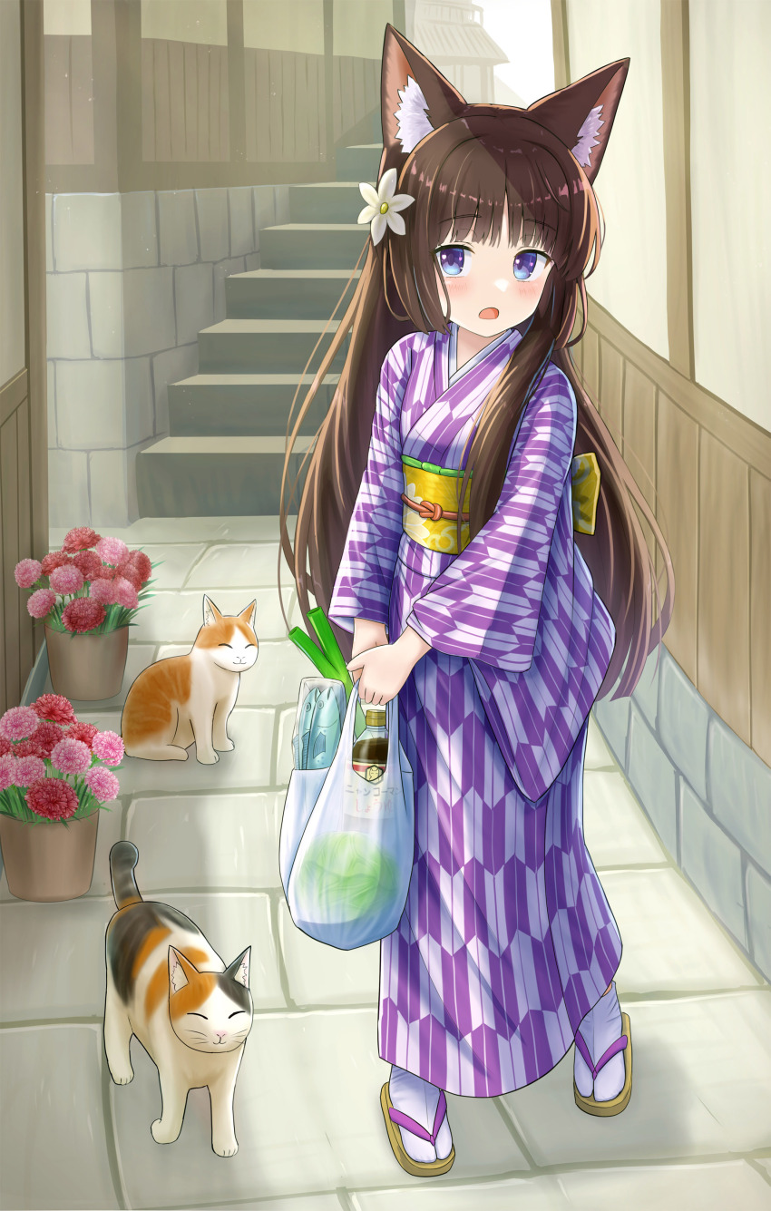1girl absurdres alley animal animal_ear_fluff animal_ears bag blue_eyes blush bottle brown_hair brown_sandals cat cat_ears commentary_request fish flower flower_pot hair_flower hair_ornament highres holding holding_bag iroha_(iroha_matsurika) japanese_clothes kimono lettuce long_hair long_sleeves looking_at_viewer mutsuki_(iroha_(iroha_matsurika)) obi open_mouth original pink_flower plastic_bag red_flower sandals sash socks solo spring_onion stairs tabi transparent very_long_hair white_flower white_socks wide_sleeves yagasuri zouri