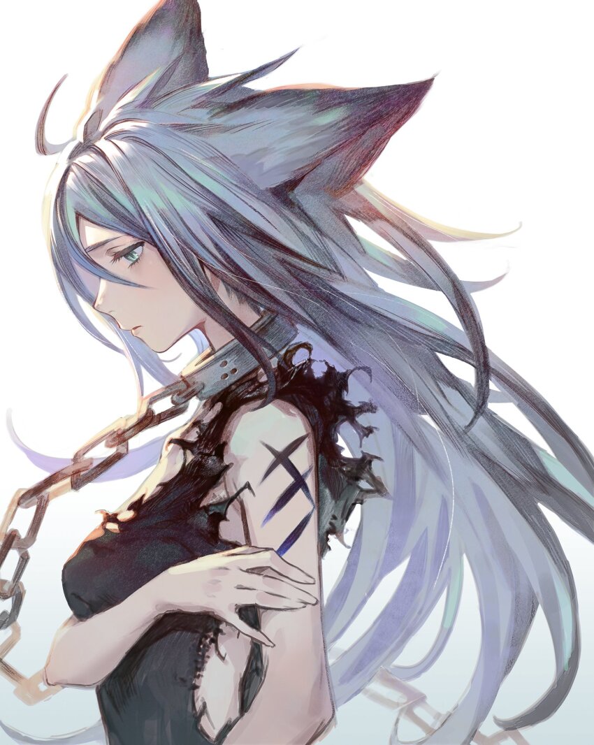 animal_ears chain chain_leash collar highres leash mimitoke white_hair