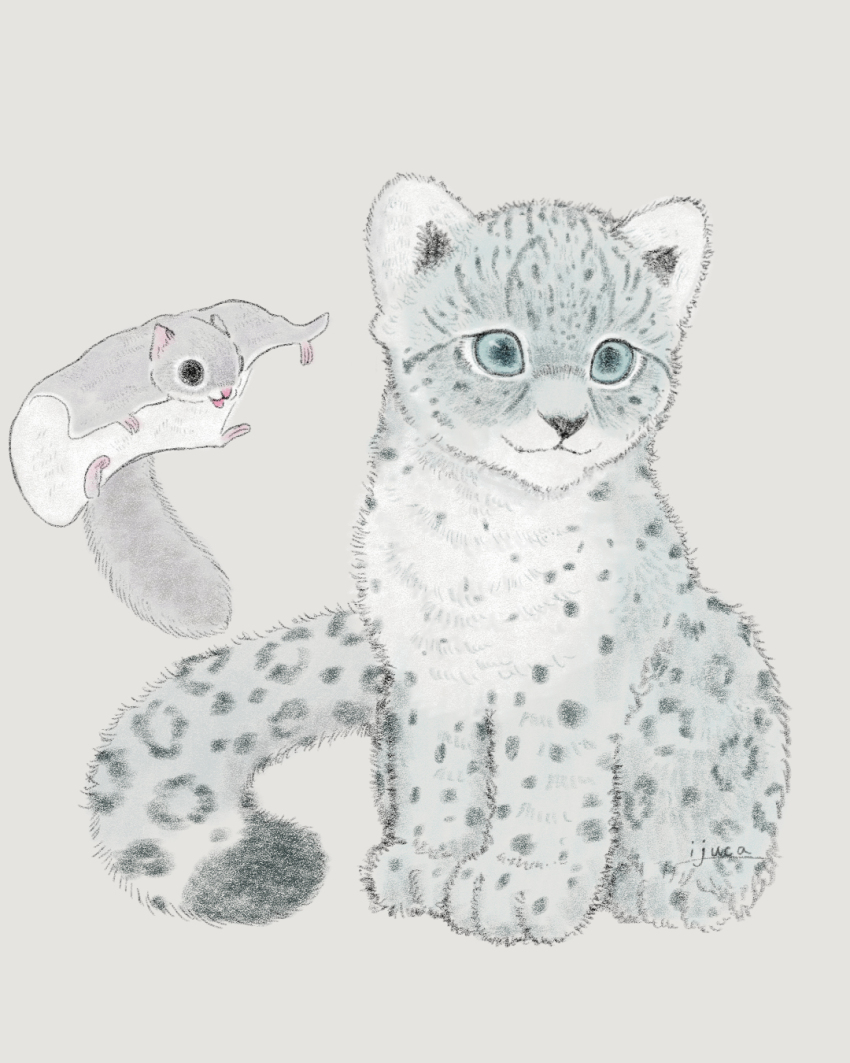 animal animal_focus black_eyes blue_eyes closed_mouth commentary_request flying_squirrel full_body grey_background grey_fur highres ijuca no_humans original parted_lips simple_background size_difference smile snow_leopard squirrel