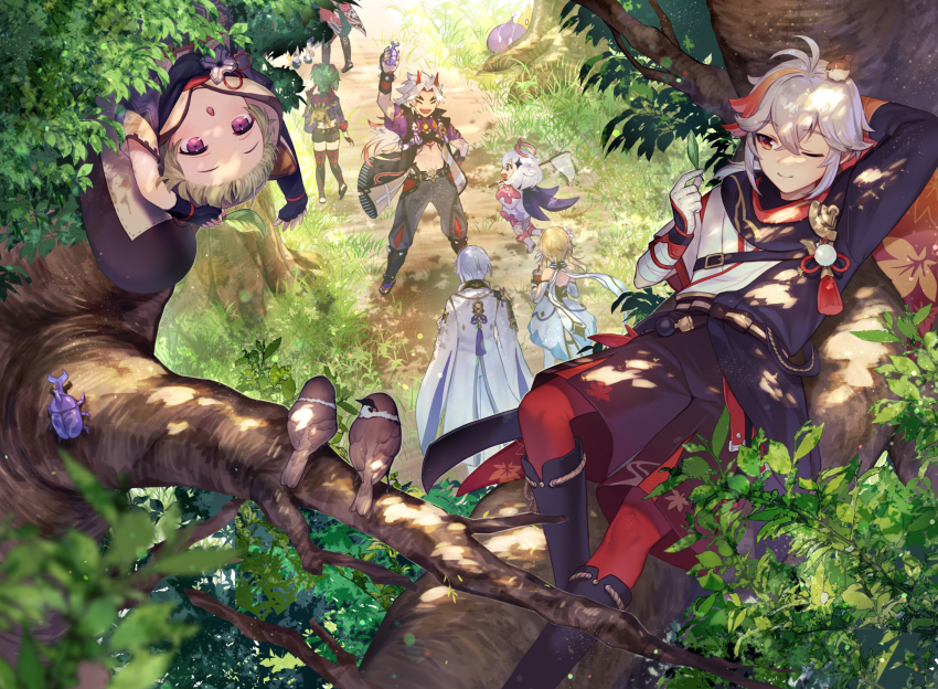4boys 5girls arataki_itto ayaka_(genshin_impact) beetle bird blonde_hair bug butterfly_net closed_eyes commentary_request crossed_bangs day genshin_impact grass grey_hair hair_ornament halo hand_net highres holding holding_leaf horns in_tree insect japanese_clothes kaedehara_kazuha kamisato_ayato kujou_sara leaf leaf_print lumine_(genshin_impact) lying multicolored_hair multiple_boys multiple_girls on_back one_eye_closed open_mouth outdoors purple_eyes sayu_(genshin_impact) scarf slime_(genshin_impact) streaked_hair thoma_(genshin_impact) tree tsunakawa upside-down walking white_hair wide_sleeves
