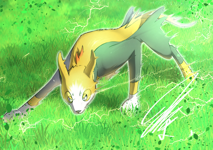 absurdres animal_hands aura boltund dynamic_pose electricity fighting_stance from_above full_body game_freak gen_8_pokemon glowing grass green_fur highres leaf looking_at_viewer mitsukuma448 nintendo no_humans nose pokemon pokemon_(creature) short_tail signature solo tail white_fur yellow_fur