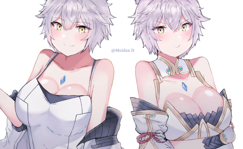 animal_ear_fluff animal_ears breasts cat_ears chest_jewel cleavage cosplay crossed_arms dual_persona grey_hair highres jacket large_breasts meidza_d mio_(xenoblade) mio_(xenoblade)_(cosplay) na&#039;el_(xenoblade) nia_(blade)_(xenoblade) nia_(blade)_(xenoblade)_(cosplay) nia_(xenoblade) off_shoulder pout short_hair smile xenoblade_chronicles_(series) xenoblade_chronicles_2 xenoblade_chronicles_3 xenoblade_chronicles_3:_future_redeemed yellow_eyes