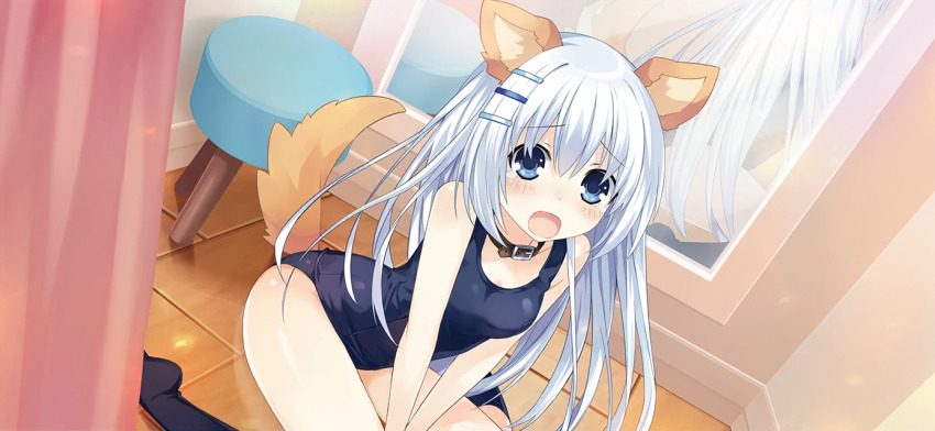 1girl animal_ears black_socks blue_eyes blush breasts curtains date_a_live date_a_live:_spirit_pledge dog_ears dog_tail dutch_angle fake_animal_ears fake_tail game_cg hair_between_eyes hair_ornament hairclip indoors long_hair mirror official_art one-piece_swimsuit open_mouth reflection reflective_floor school_swimsuit sitting socks solo swimsuit tail third-party_source tobiichi_origami wariza white_hair